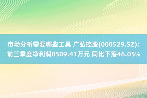 市场分析需要哪些工具 广弘控股(000529.SZ)：前三季度净利润8509.41万元 同比下落46.05%