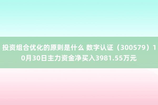 投资组合优化的原则是什么 数字认证（300579）10月30日主力资金净买入3981.55万元