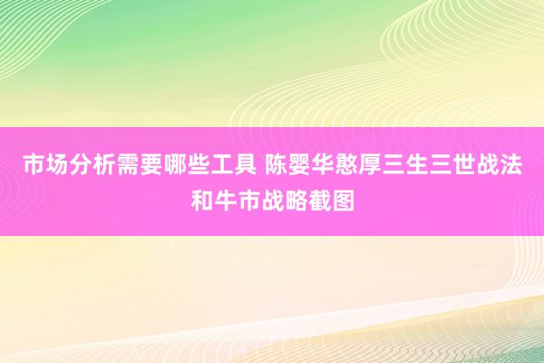 市场分析需要哪些工具 陈婴华憨厚三生三世战法和牛市战略截图