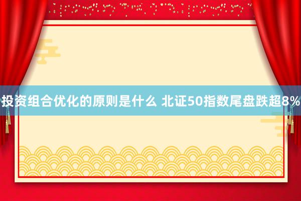 投资组合优化的原则是什么 北证50指数尾盘跌超8%