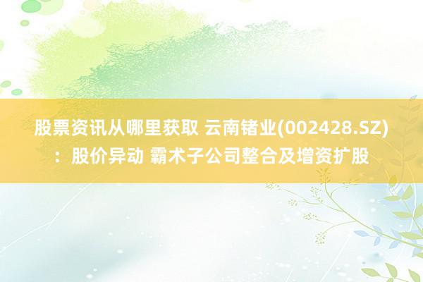 股票资讯从哪里获取 云南锗业(002428.SZ)：股价异动 霸术子公司整合及增资扩股