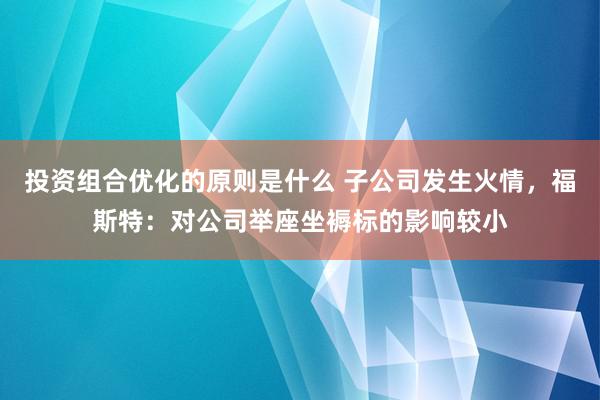 投资组合优化的原则是什么 子公司发生火情，福斯特：对公司举座坐褥标的影响较小