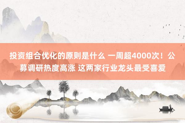 投资组合优化的原则是什么 一周超4000次！公募调研热度高涨 这两家行业龙头最受喜爱