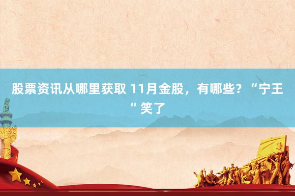 股票资讯从哪里获取 11月金股，有哪些？“宁王”笑了