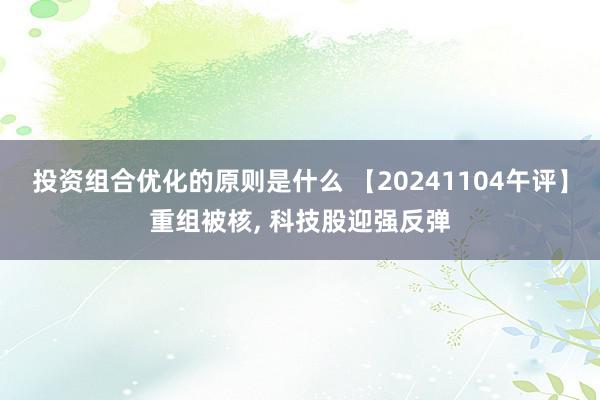 投资组合优化的原则是什么 【20241104午评】重组被核, 科技股迎强反弹