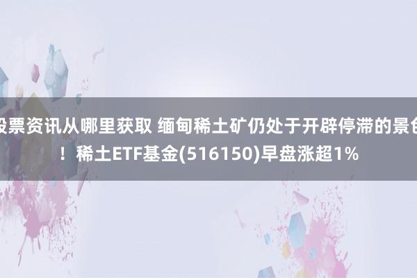 股票资讯从哪里获取 缅甸稀土矿仍处于开辟停滞的景色！稀土ETF基金(516150)早盘涨超1%