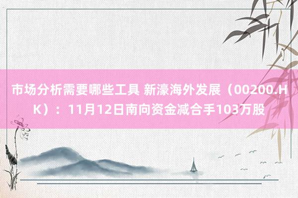 市场分析需要哪些工具 新濠海外发展（00200.HK）：11月12日南向资金减合手103万股