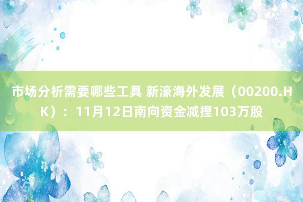 市场分析需要哪些工具 新濠海外发展（00200.HK）：11月12日南向资金减捏103万股