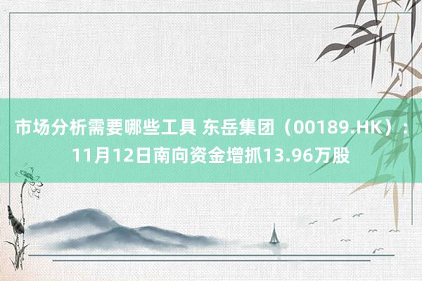 市场分析需要哪些工具 东岳集团（00189.HK）：11月12日南向资金增抓13.96万股