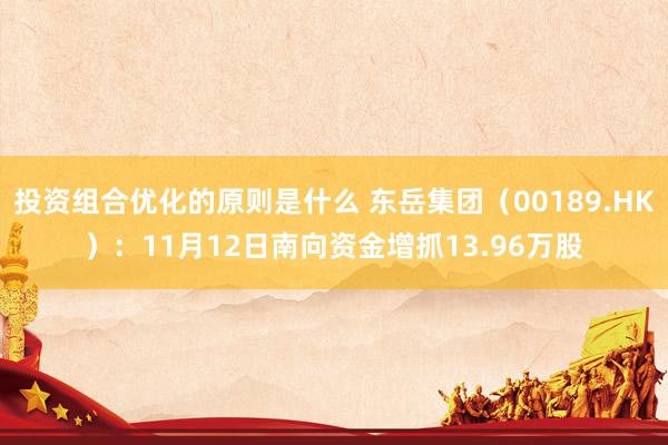 投资组合优化的原则是什么 东岳集团（00189.HK）：11月12日南向资金增抓13.96万股