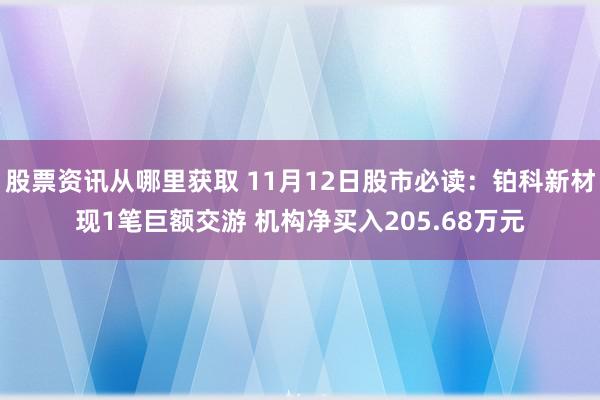 股票资讯从哪里获取 11月12日股市必读：铂科新材现1笔巨额交游 机构净买入205.68万元