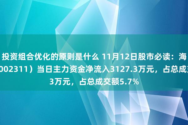 投资组合优化的原则是什么 11月12日股市必读：海大集团（002311）当日主力资金净流入3127.3万元，占总成交额5.7%