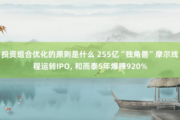 投资组合优化的原则是什么 255亿“独角兽”摩尔线程运转IPO, 和而泰5年爆赚920%