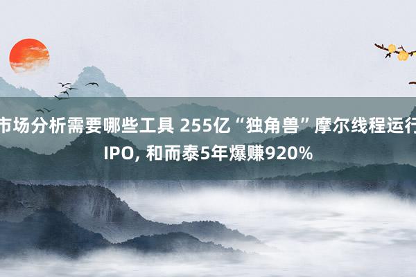 市场分析需要哪些工具 255亿“独角兽”摩尔线程运行IPO, 和而泰5年爆赚920%