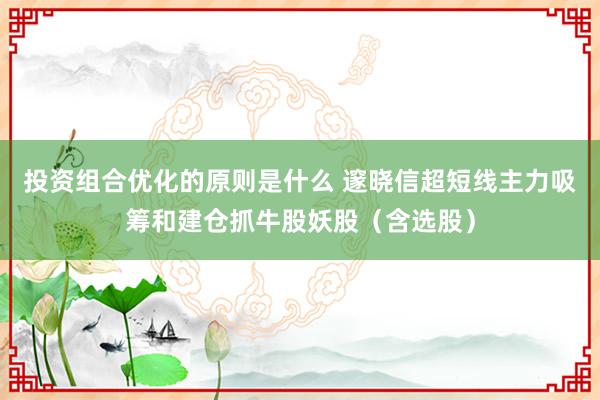 投资组合优化的原则是什么 邃晓信超短线主力吸筹和建仓抓牛股妖股（含选股）