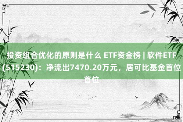 投资组合优化的原则是什么 ETF资金榜 | 软件ETF(515230)：净流出7470.20万元，居可比基金首位