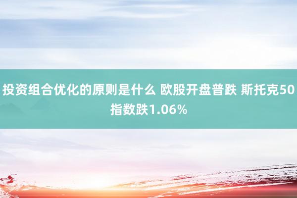 投资组合优化的原则是什么 欧股开盘普跌 斯托克50指数跌1.06%