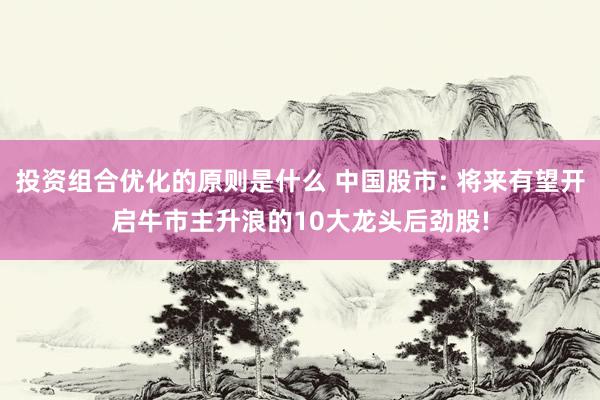 投资组合优化的原则是什么 中国股市: 将来有望开启牛市主升浪的10大龙头后劲股!