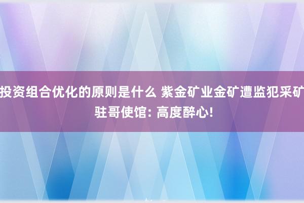 投资组合优化的原则是什么 紫金矿业金矿遭监犯采矿 驻哥使馆: 高度醉心!