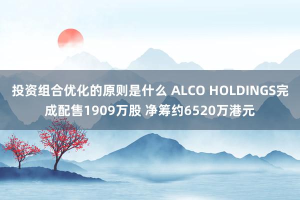 投资组合优化的原则是什么 ALCO HOLDINGS完成配售1909万股 净筹约6520万港元