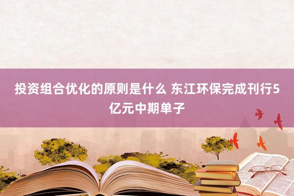 投资组合优化的原则是什么 东江环保完成刊行5亿元中期单子