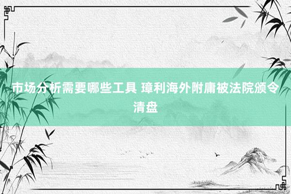 市场分析需要哪些工具 璋利海外附庸被法院颁令清盘