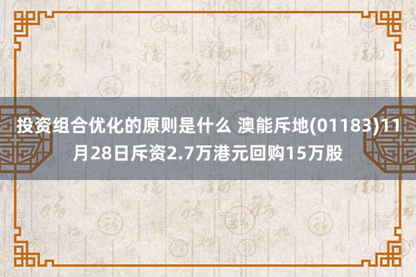 投资组合优化的原则是什么 澳能斥地(01183)11月28日斥资2.7万港元回购15万股