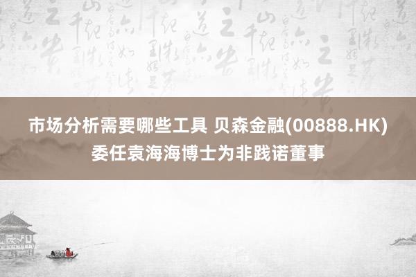 市场分析需要哪些工具 贝森金融(00888.HK)委任袁海海博士为非践诺董事