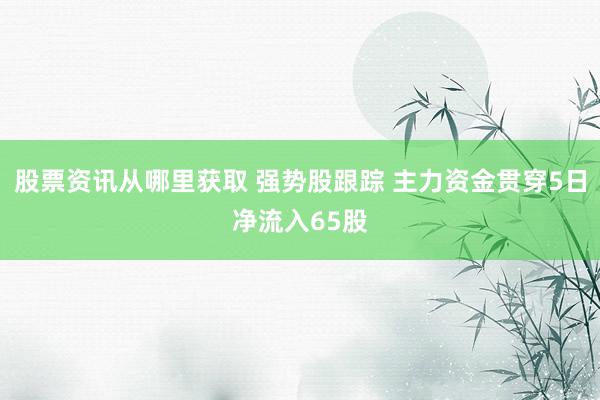 股票资讯从哪里获取 强势股跟踪 主力资金贯穿5日净流入65股