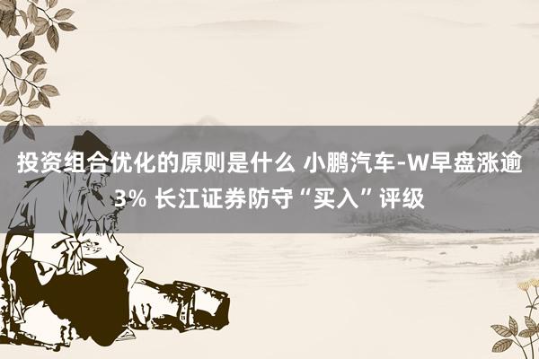 投资组合优化的原则是什么 小鹏汽车-W早盘涨逾3% 长江证券防守“买入”评级