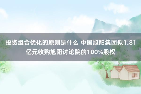 投资组合优化的原则是什么 中国旭阳集团拟1.81亿元收购旭阳讨论院的100%股权