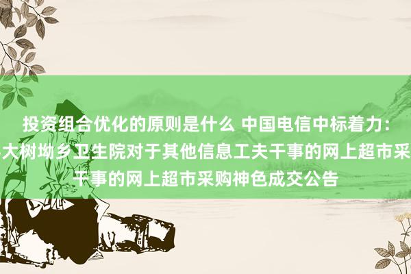 投资组合优化的原则是什么 中国电信中标着力：芷江侗族自治县大树坳乡卫生院对于其他信息工夫干事的网上超市采购神色成交公告