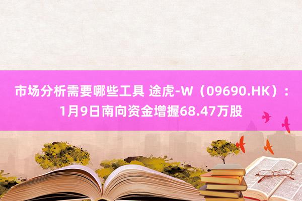 市场分析需要哪些工具 途虎-W（09690.HK）：1月9日南向资金增握68.47万股