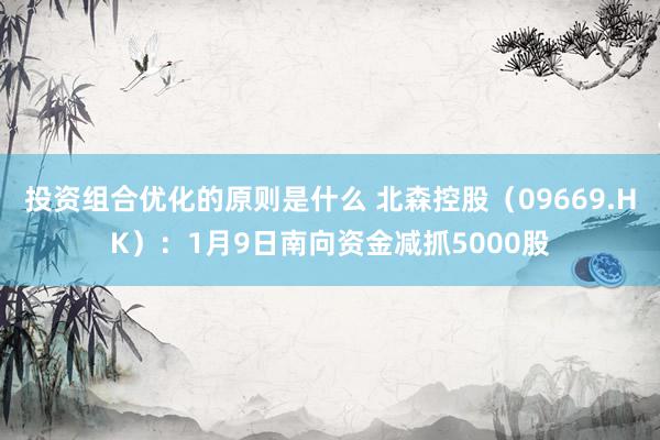 投资组合优化的原则是什么 北森控股（09669.HK）：1月9日南向资金减抓5000股