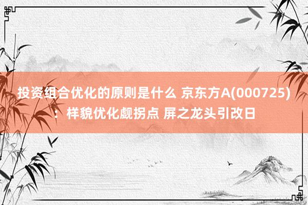 投资组合优化的原则是什么 京东方A(000725)：样貌优化觑拐点 屏之龙头引改日