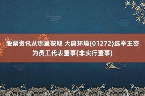 股票资讯从哪里获取 大唐环境(01272)选举王密为员工代表董事(非实行董事)