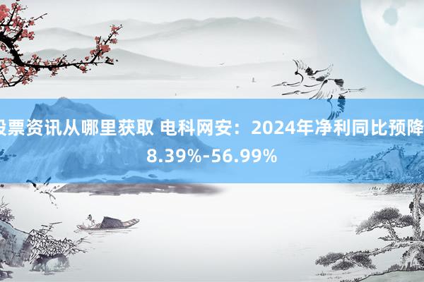 股票资讯从哪里获取 电科网安：2024年净利同比预降48.39%-56.99%