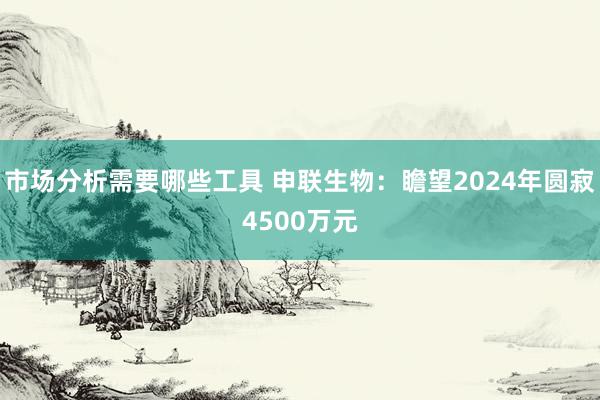 市场分析需要哪些工具 申联生物：瞻望2024年圆寂4500万元