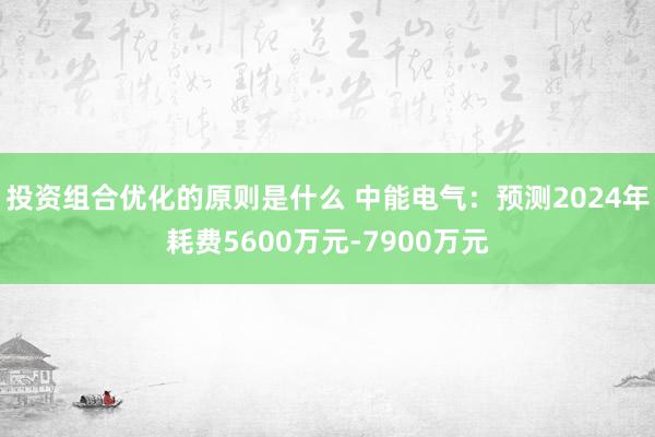 投资组合优化的原则是什么 中能电气：预测2024年耗费5600万元-7900万元