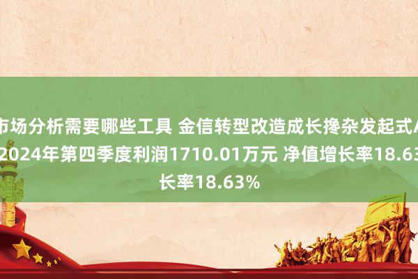 市场分析需要哪些工具 金信转型改造成长搀杂发起式A：2024年第四季度利润1710.01万元 净值增长率18.63%