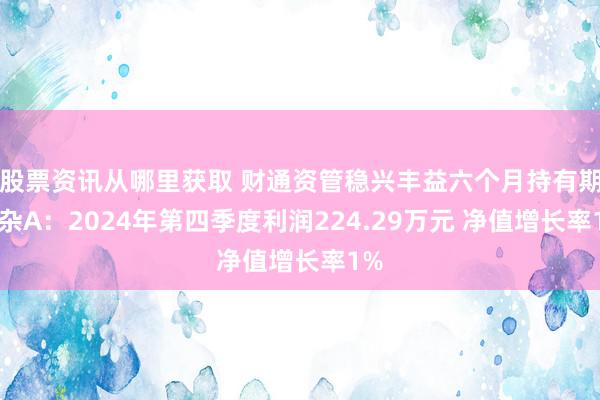 股票资讯从哪里获取 财通资管稳兴丰益六个月持有期搀杂A：2024年第四季度利润224.29万元 净值增长率1%