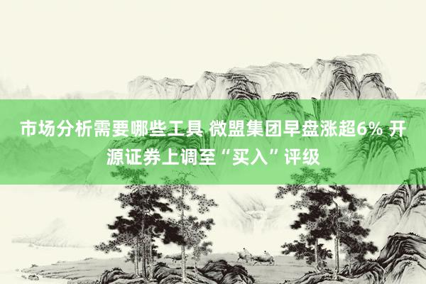 市场分析需要哪些工具 微盟集团早盘涨超6% 开源证券上调至“买入”评级