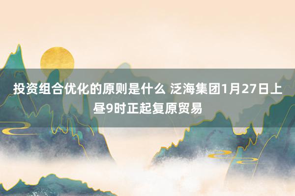 投资组合优化的原则是什么 泛海集团1月27日上昼9时正起复原贸易