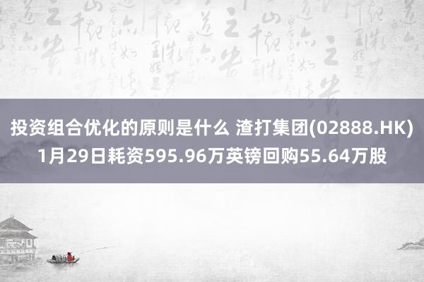 投资组合优化的原则是什么 渣打集团(02888.HK)1月29日耗资595.96万英镑回购55.64万股