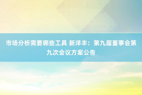 市场分析需要哪些工具 新洋丰：第九届董事会第九次会议方案公告