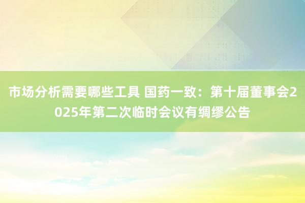 市场分析需要哪些工具 国药一致：第十届董事会2025年第二次临时会议有绸缪公告