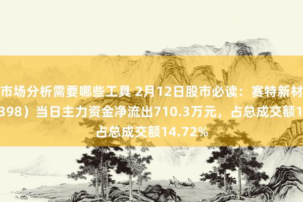 市场分析需要哪些工具 2月12日股市必读：赛特新材（688398）当日主力资金净流出710.3万元，占总成交额14.72%