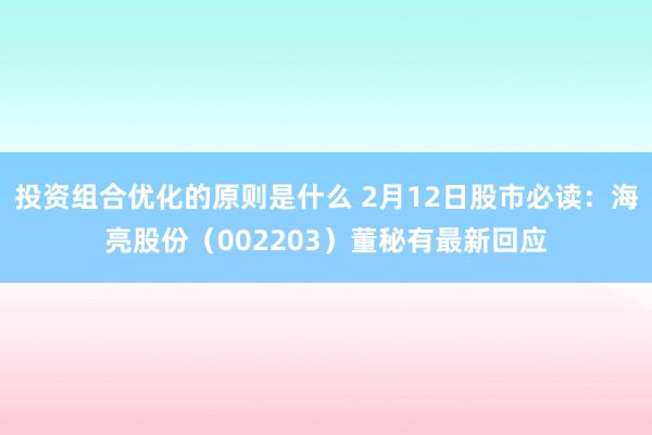 投资组合优化的原则是什么 2月12日股市必读：海亮股份（002203）董秘有最新回应