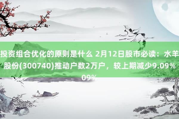 投资组合优化的原则是什么 2月12日股市必读：水羊股份(300740)推动户数2万户，较上期减少9.09%