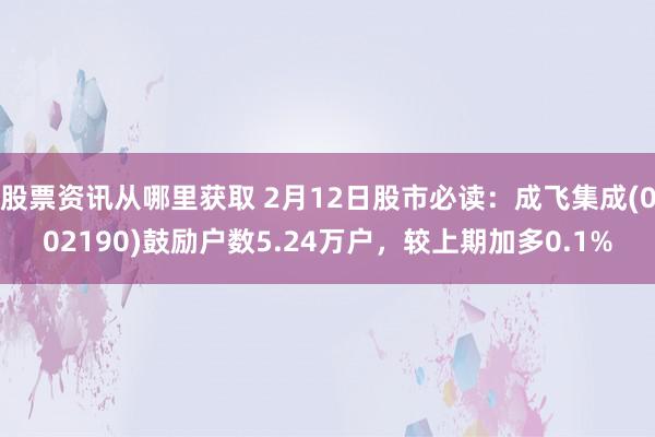 股票资讯从哪里获取 2月12日股市必读：成飞集成(002190)鼓励户数5.24万户，较上期加多0.1%